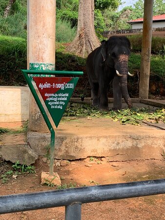 Images of Pathanamthitta